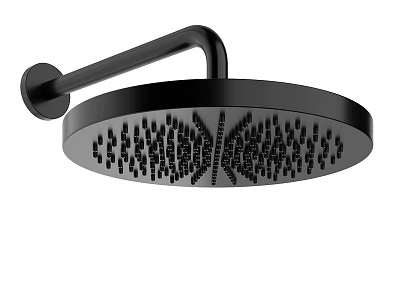 Black Round Wall Mounted Overhead Shower Head With Modern Spray Design 3d model