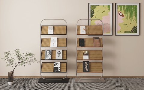 Modern Bookshelf Magazine Rack Bookshelf Combination 3d model