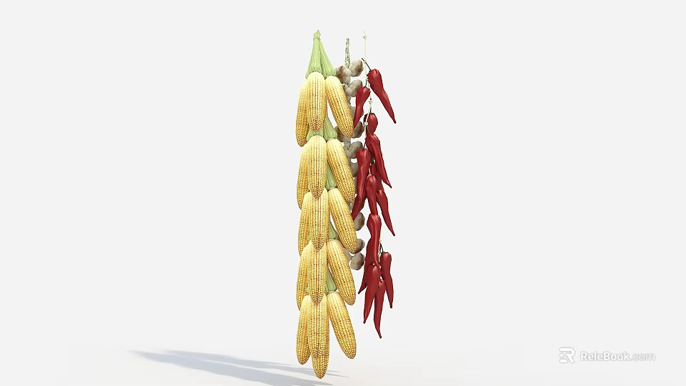 Hanging Dried Corn Cobs And Red Chili Peppers For Decorative Purpose 3d model 
