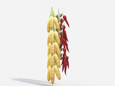 Hanging Dried Corn Cobs And Red Chili Peppers For Decorative Purpose 3d model