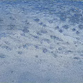 Scenic Landscape Of A Sandy Beach With Footprints And Textures