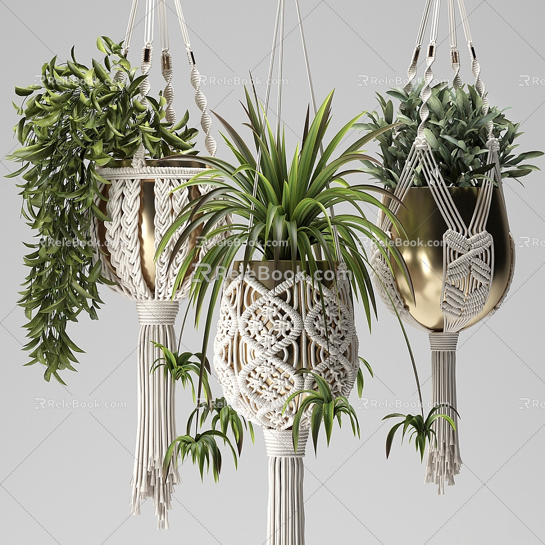 Modern hanging basket Phnom Penh hanging orchid green plant hanging basket 3d model