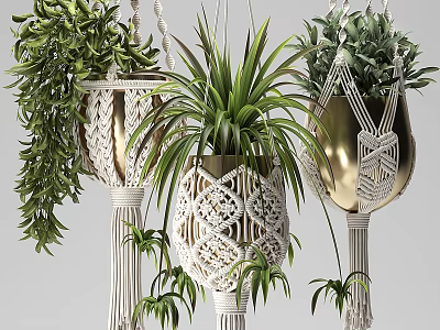 Lush Green Hanging Plants In Macrame Plant Hangers With Patterned Design For Indoor Decor 3d model
