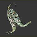 Green Edible Pod With Colorful Fresh Beans As Natural Food Display Item