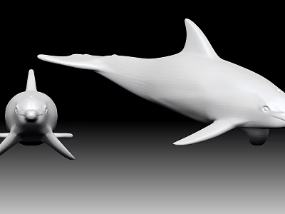 White Dolphin Models Featuring Large and Small Sizes Against Black Background 3d model