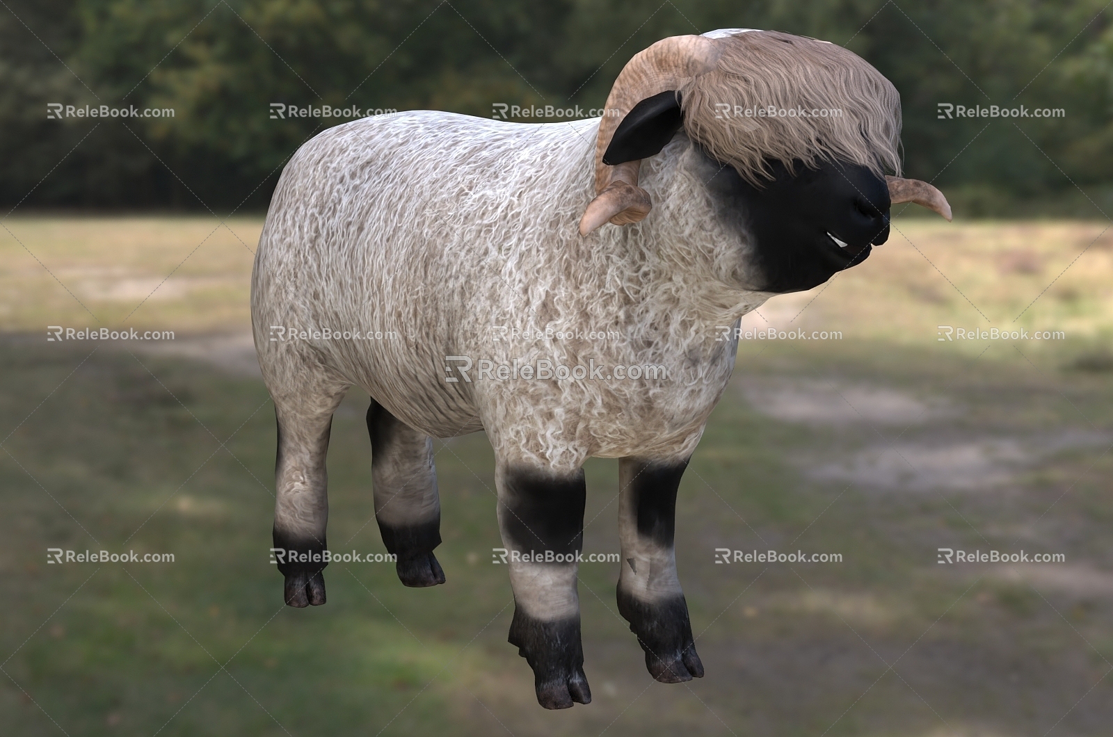 Swiss Valle Black Nose Goat Glacier Goat 3d model