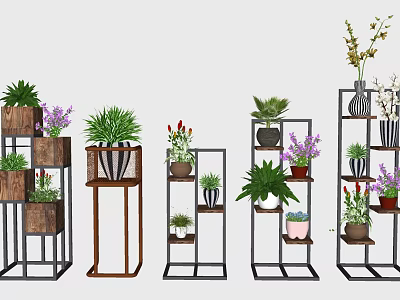 Various Potted Plants On Wooden And Metal Multi Tiered Stands For Indoor Decoration 3d model