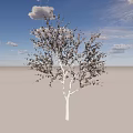 Tall Arbor Standing On Light Colored Ground Under Blue Sky With White Clouds 3d model