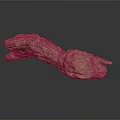 Natural Wood And Stone 3D Rendering With Rough Surface Irregular Shape Design