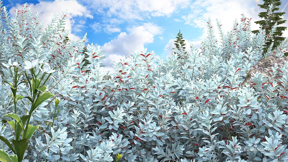 Lush Silver Gray Leaf Shrubs with Red Berries Under Blue Sky and White Clouds 3d model 