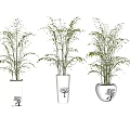 Three Bonsai Potted Plants In White Pots With Black Tree Patterns 3d model