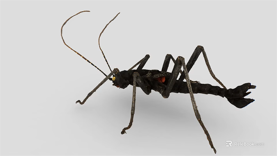 Black Reptile With Long Antennae Slender Legs And Segmented Body With Red Spots 3d model 