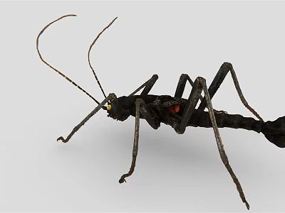 Black Reptile With Long Antennae Slender Legs And Segmented Body With Red Spots 3d model
