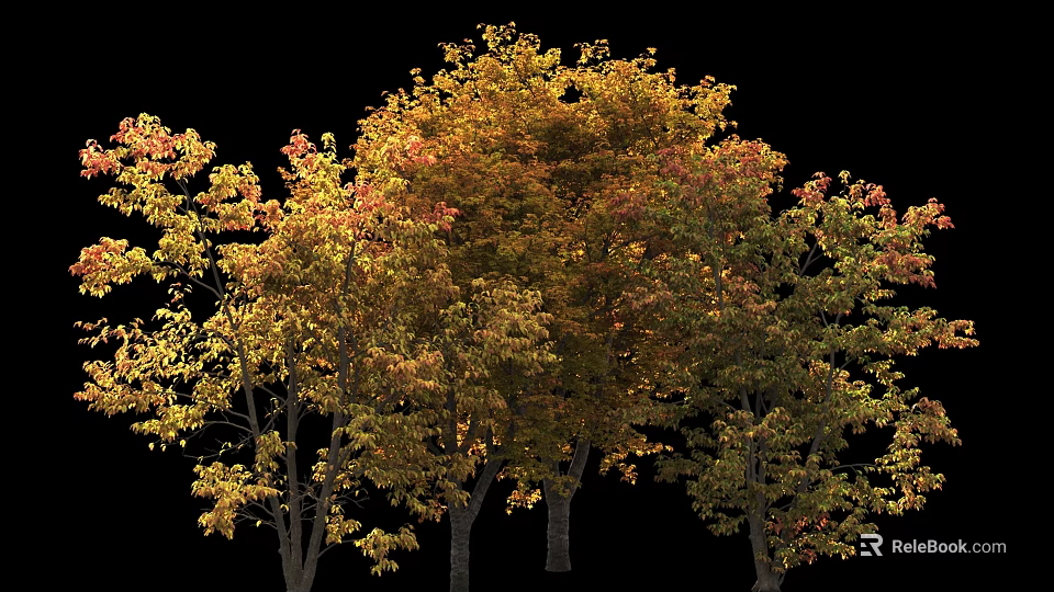 Tall Deciduous Trees With Vibrant Autumn Yellow Orange Red Foliage And Lush Canopies 3d model 
