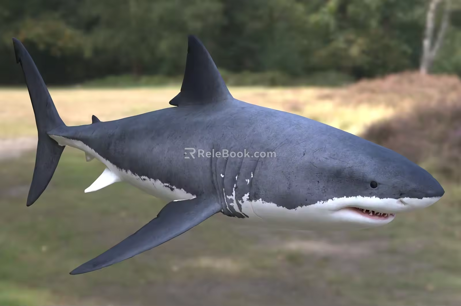 Great White Shark Eaters Human Shark Fish Animal Creatures 3d model