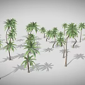 Multiple Palm Trees With Green Fronds And Long Trunks Casting Shadows 3d model