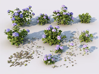Beautiful Purple Flower Plants With Green Leaves And Scattered Petals 3d model