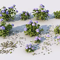 Beautiful Purple Flower Plants With Green Leaves And Scattered Petals
