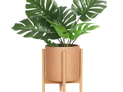 Monstera Potted Plant In Brown Textured Pot With Wooden Stand 3d model
