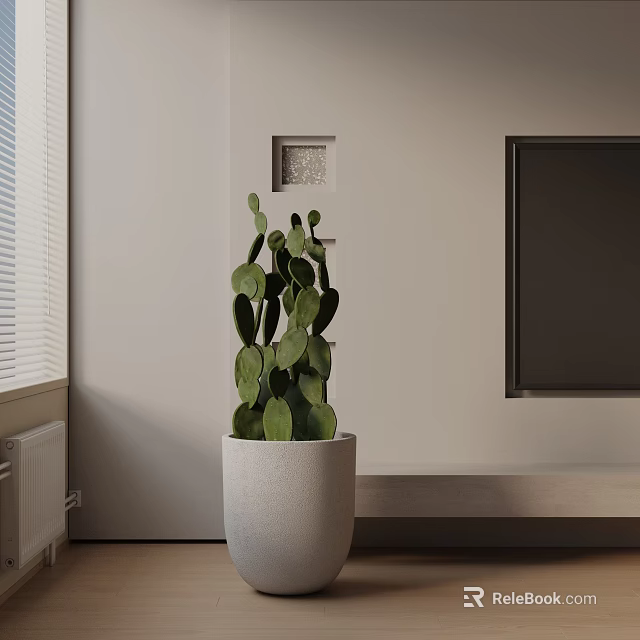 Cactus Bonsai Plant in White Pot Placed in Room Corner Near Window with Wall Frame 3d model 