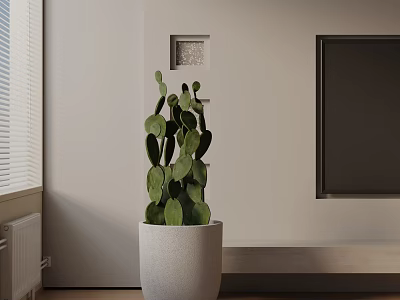 Cactus Bonsai Plant in White Pot Placed in Room Corner Near Window with Wall Frame 3d model