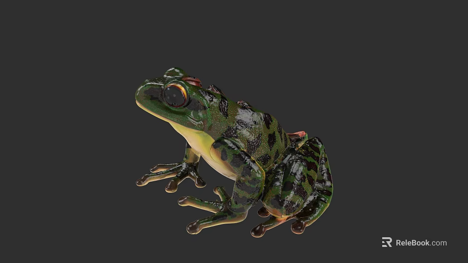 Realistic Green Frog With Black Spots And Red Eyes On Dark Background 3d model 