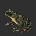 Realistic Green Frog With Black Spots And Red Eyes On Dark Background