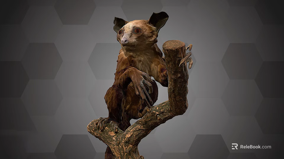 Aye Aye With Large Ears And Brown Fur Clinging To Tree Branch 3d model 
