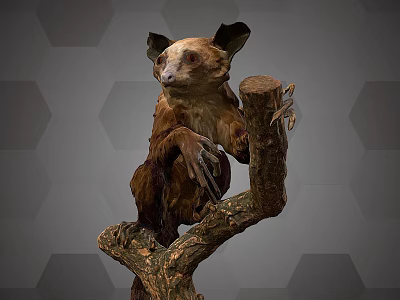 Aye Aye With Large Ears And Brown Fur Clinging To Tree Branch 3d model