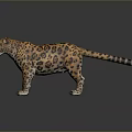 3D Rendered Leopard Standing With Yellow Black Spotted Fur And Reflection On Gray Background