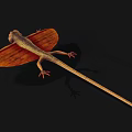 Reptile Flying Lizard With Orange Wing Membranes And Yellow Textured Body On Black Background