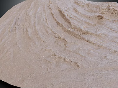 Garden Landscape Design With Beige Wavy Texture Natural Sandy Surface Finish 3d model