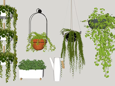 Beautiful Lush Hanging Basket Plants With Trailing Green Leaves And Decorative Pots 3d model