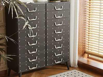Black Storage Cabinet With Multiple Drawers White Handles In Room With Wooden Floor And Plant 3d model