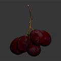 Fresh Ripe Juicy Purple Grapes With Orange Vines On Dark Background