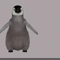 Adorable Brown And White Penguin Standing With Outstretched Wings On White Background