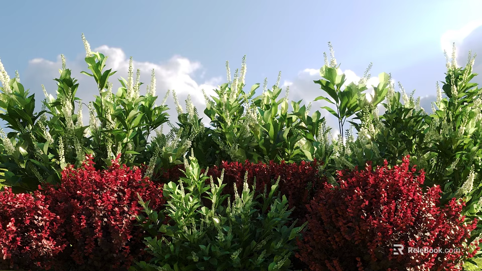 Lush Green And Red Shrubs Growing Under Blue Sky With White Clouds 3d model 