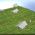 Beautiful Multiple Tents On Lush Green Grassland With Small Flowers And Colorful Decorations
