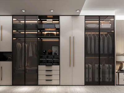 Modern Wardrobe Interior With Glass Doors Metal Handles Hanging Rods And Open Shelves 3d model