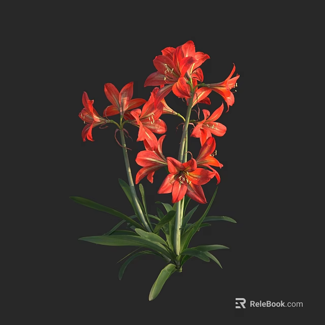 Vibrant Red Lilies with Green Leaves and Stems on Black Background 3d model 