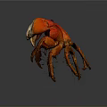 Red Aquatic Crab With Vibrant Color Distinctive Claws And Detailed Legs