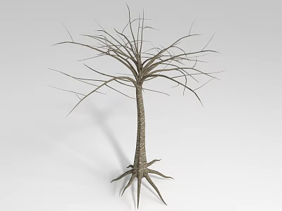 Bare Tree With Long Branches Thick Trunk And Exposed Roots 3d model