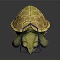 Adorable Turtle Wearing Black Glasses And Blue Bow Tie On Dark Reflective Surface