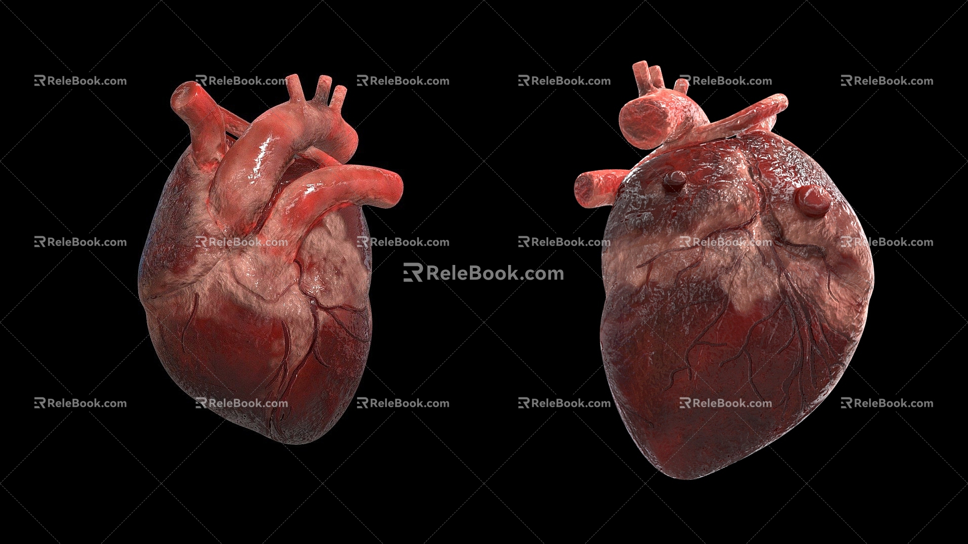 The Modern Heart 3d model