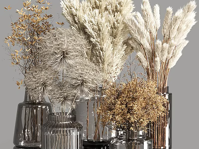 Stylish Glass Vases With Dried Flowers In Natural Neutral Tones For Decor 3d model