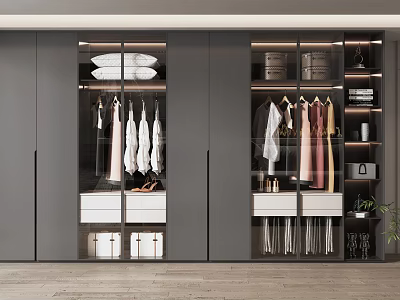 Modern Wardrobe Interior With Glass Doors Hanging Clothes Storage Drawers And LED Lighting 3d model