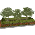 Lush Green Shrubs With Red Foliage And Trees In Garden Landscaping Design