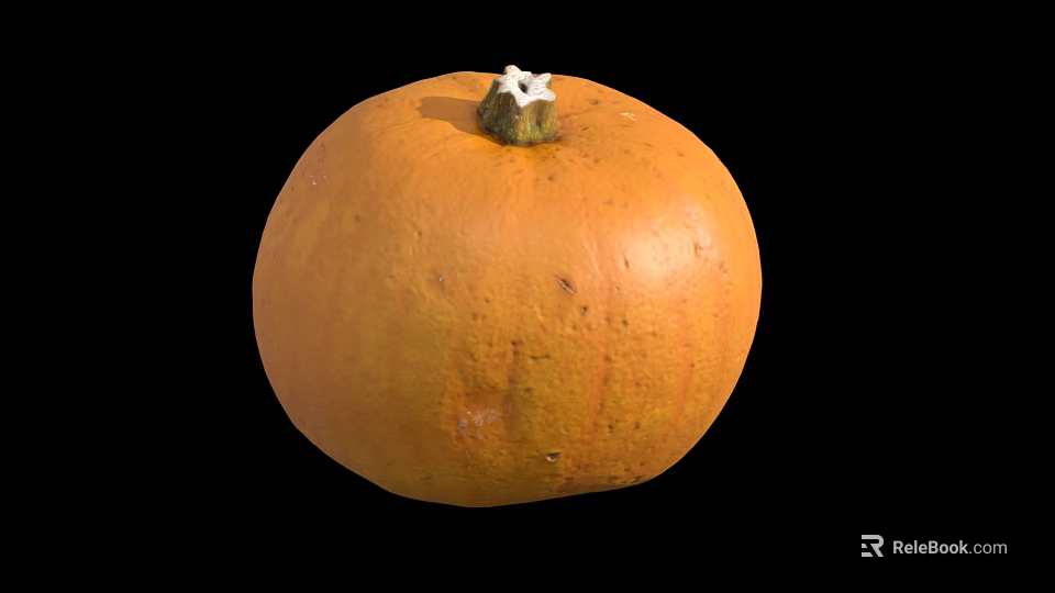 Single Ripe Fresh Orange Pumpkin Vegetable Isolated On Black Background 3d model 