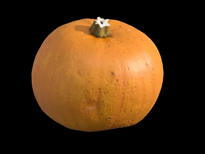 Single Ripe Fresh Orange Pumpkin Vegetable Isolated On Black Background 3d model