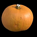 Single Ripe Fresh Orange Pumpkin Vegetable Isolated On Black Background